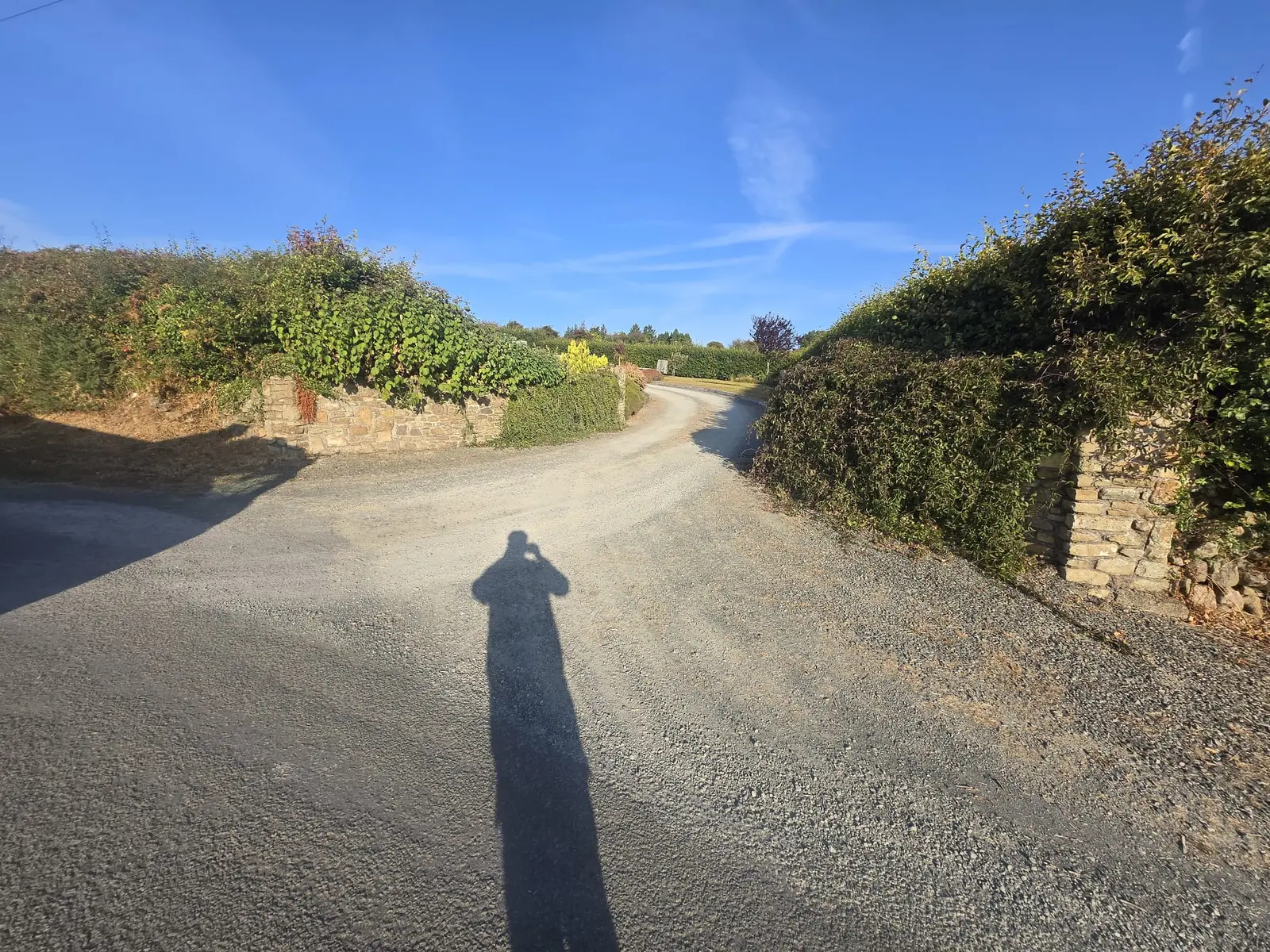 Large Tar & Chip Driveway project by Allsurface Groundworks in South Dublin